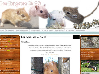 Aperçu visuel du site http://LesRongeursDu80.e-monsite.com