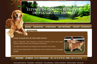 Aperçu visuel du site http://www.golden-azzopardi.fr