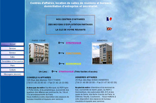 Aperçu visuel du site http://www.conseils-affaires.fr