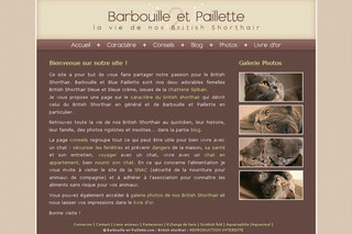 Aperçu visuel du site http://www.barbouille-et-paillette.com
