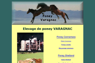 Aperçu visuel du site http://www.varagnac.com