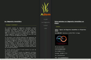 Aperçu visuel du site http://www.adiem.fr