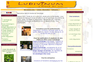 Aperçu visuel du site http://www.ludivinum.com