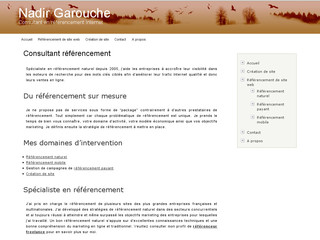 Aperçu visuel du site http://www.nadir.fr