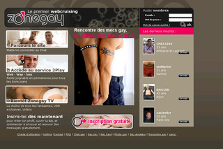 Aperçu visuel du site http://www.zonegay.fr