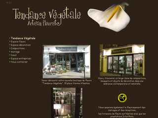 Aperçu visuel du site http://www.tendance-vegetale.com