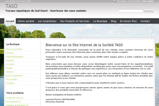 Aperçu visuel du site http://www.taso.fr