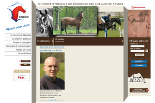 Aperçu visuel du site http://www.csccf.fr