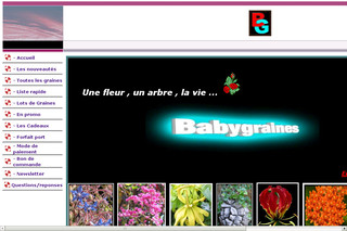 Aperçu visuel du site http://www.babygraines.com/