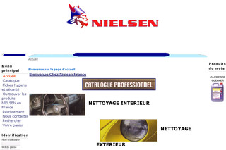 Aperçu visuel du site http://www.nielsen-france.com