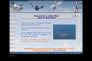 Aperçu visuel du site http://www.cigogneschutelibre.com