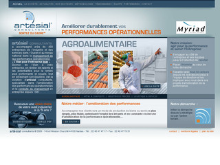 Aperçu visuel du site http://www.artesial.com
