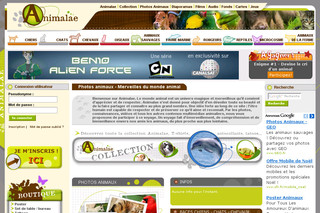 Aperçu visuel du site http://www.animalae.com
