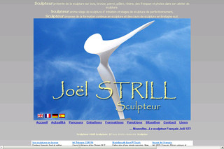 Aperçu visuel du site http://www.strill.fr