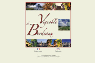 Aperçu visuel du site http://www.vignobledebordeaux.fr