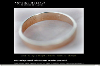 Aperçu visuel du site http://www.antoine-morfaux.com