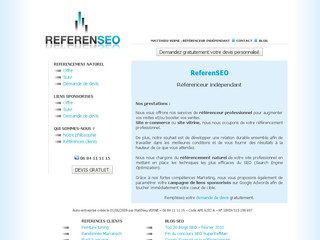 Consultant en référencement - Referenseo.fr
