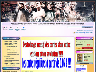 Aperçu visuel du site http://www.carte-slam-attax.fr/