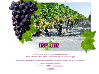 Aperçu visuel du site http://www.inovitis.fr
