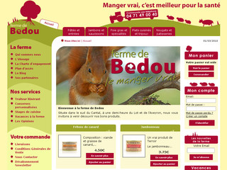 Aperçu visuel du site http://www.bedou.com