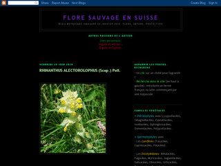 Aperçu visuel du site http://flore-et-fleurs-suisses.blogspot.com/