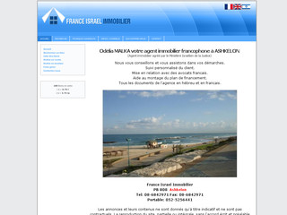 Aperçu visuel du site http://www.franceisraelimmobilier.com/french/