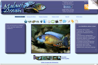 Aperçu visuel du site http://www.malawi-dream.info