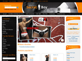 Aperçu visuel du site http://www.secret-boy.com
