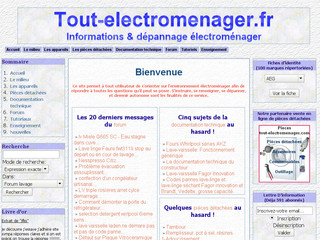 Aperçu visuel du site http://www.tout-electromenager.fr