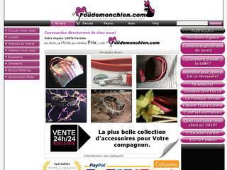 Aperçu visuel du site http://www.foudemonchien.com
