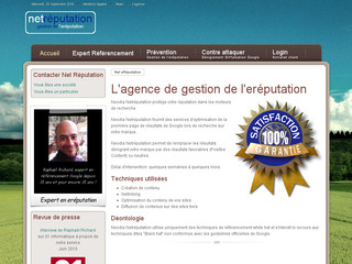 Aperçu visuel du site http://www.netreputation.fr