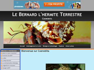 Aperçu visuel du site http://coenobita.e-monsite.com/