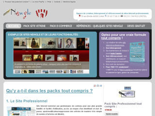 Aperçu visuel du site http://www.newgle.fr