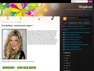 Aperçu visuel du site http://www.blogabuzz.com