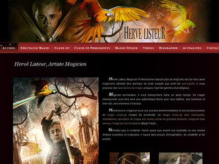 Aperçu visuel du site http://www.magicien-prestige.com