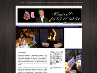 Aperçu visuel du site http://www.magicienh.fr/