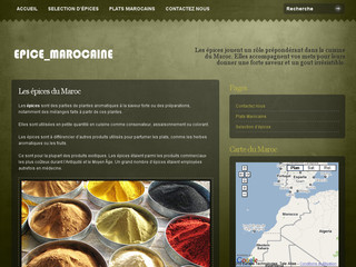 Aperçu visuel du site http://www.epice-marocaine.com