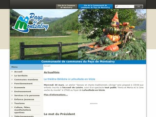 Aperçu visuel du site http://www.paysdemontsalvy.fr
