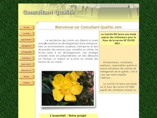 Aperçu visuel du site http://consultant-qualite.com