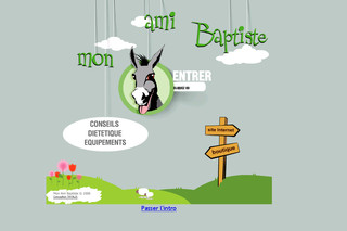 Aperçu visuel du site http://www.mon-ami-baptiste.com