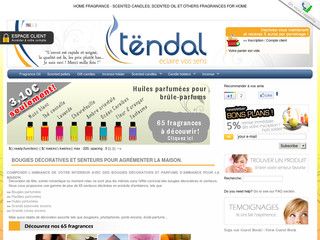 Aperçu visuel du site http://www.tendal.eu