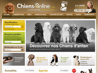 Aperçu visuel du site http://www.chiens-online.com