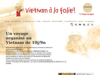 Aperçu visuel du site http://www.vietnamalafolie.fr/