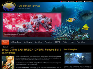 Plongée à Bali: Bali Breizh Divers, centre français PADI 5* - Balibreizhdivers.com