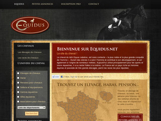 Aperçu visuel du site http://www.equidus.net