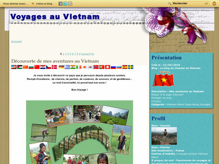 Aperçu visuel du site http://www.mesvoyagesauvietnam.fr