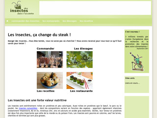 Aperçu visuel du site http://www.restaurantdinsectes.fr/