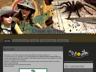 Aperçu visuel du site http://chasse-au-tresor.eu