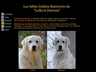 Au Mas de l'Orb - Elevage de golden retrievers - Goldens34.free.fr