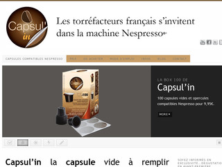 Aperçu visuel du site http://www.capsul-in.fr